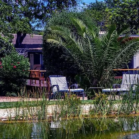 Yoga Retreat Portugal August 29-3rd September 2025 Entire Pool House At The Quinta 1 Week - 5 Day Retreat Yoga And Therapies 2 Days To Chill - Book And Message For Itinerary Almancil