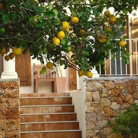 Yoga Retreat Portugal August 29-3Rd September 2025 Entire Pool House At The Quinta 1 Week - 5 Day Retreat Yoga And Therapies 2 Days To Chill - Book And Message For Itinerary Apartment Almancil
